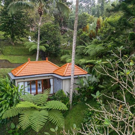 Tjendana Kanaka Jungle Resort Ubud Extérieur photo