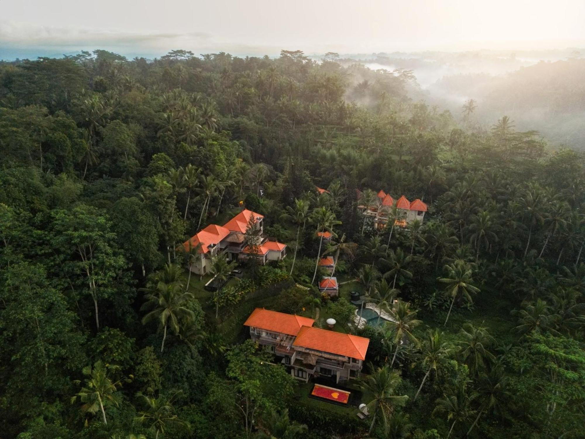 Tjendana Kanaka Jungle Resort Ubud Extérieur photo